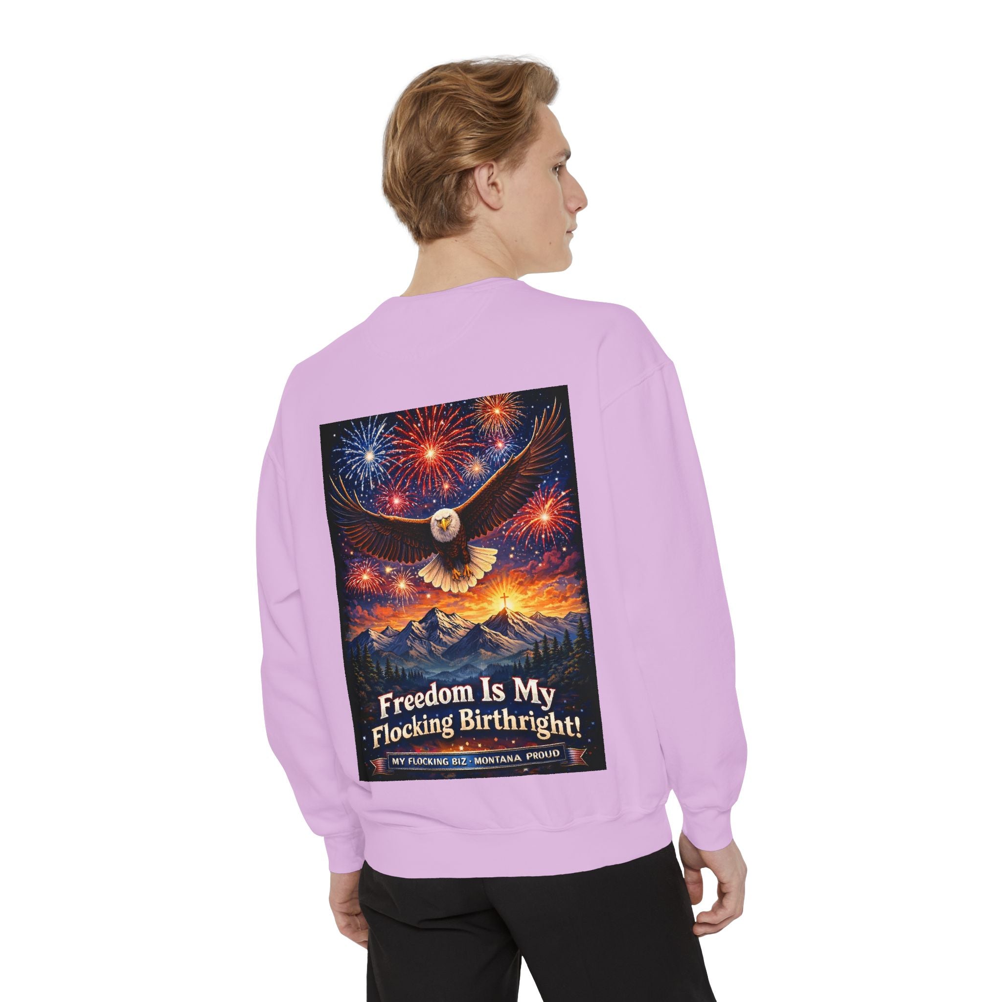 Freedom Is My Flocking Birthright Sweatshirt — Eagle & Fireworks Patriotic Crewneck