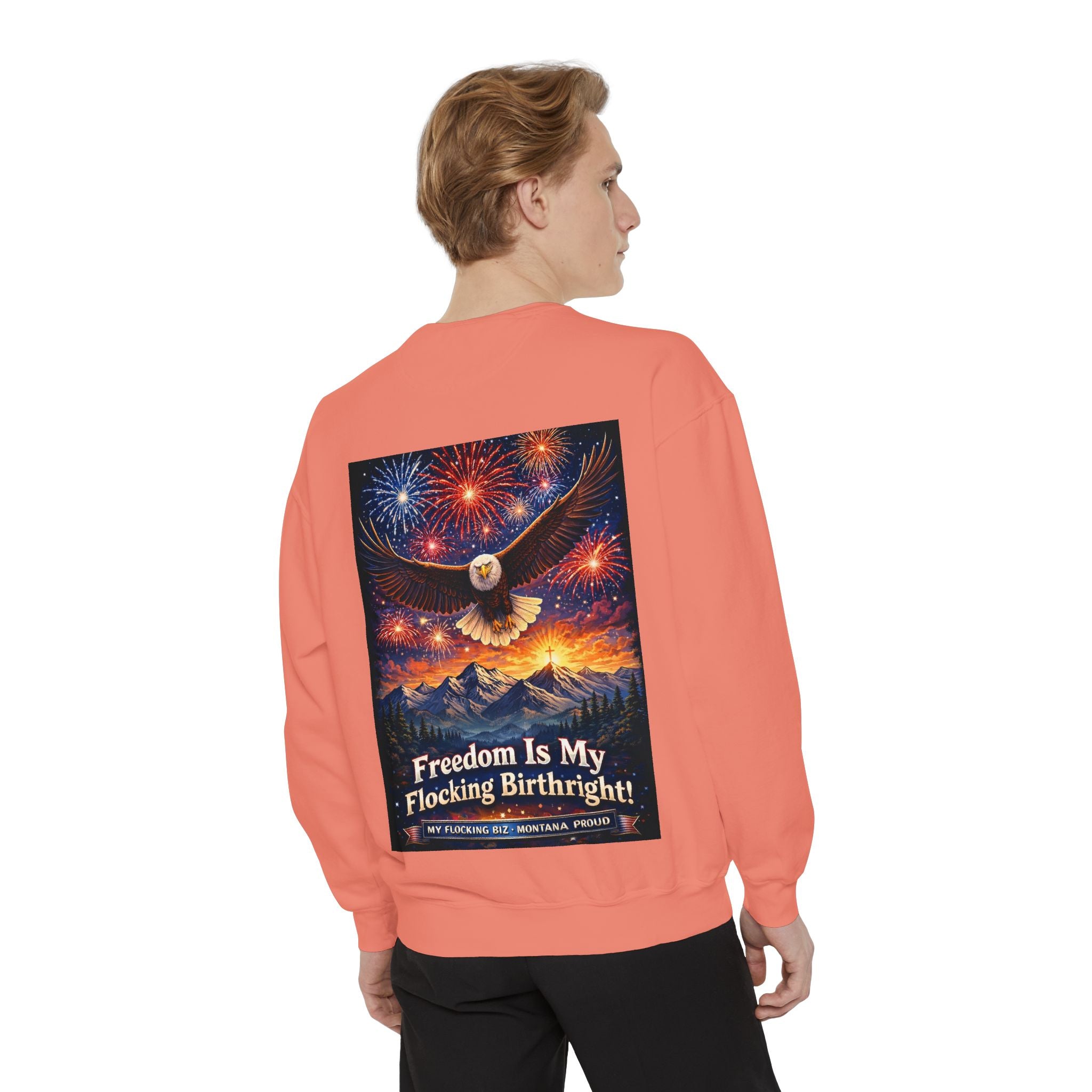 Freedom Is My Flocking Birthright Sweatshirt — Eagle & Fireworks Patriotic Crewneck