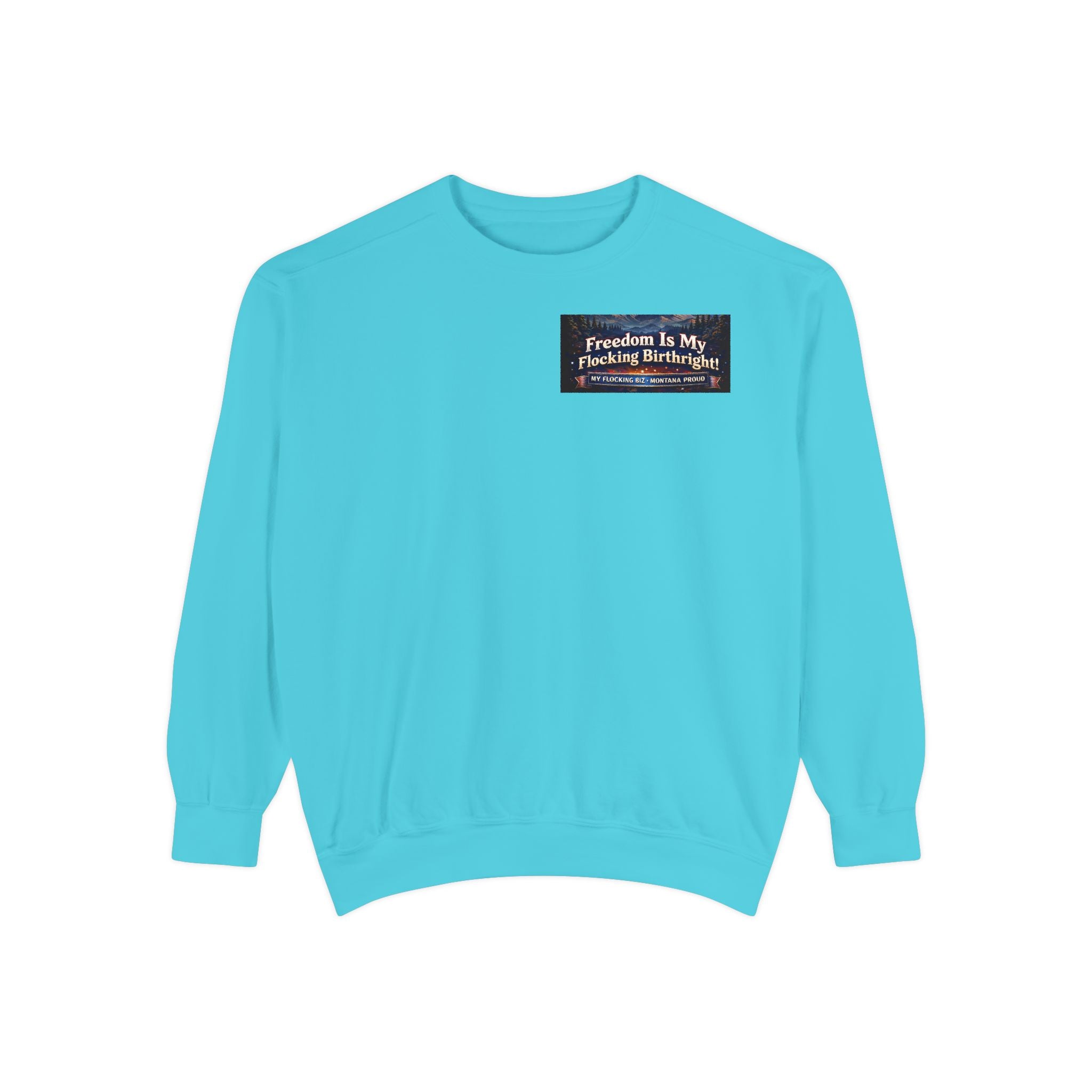 Freedom Is My Flocking Birthright Sweatshirt — Eagle & Fireworks Patriotic Crewneck