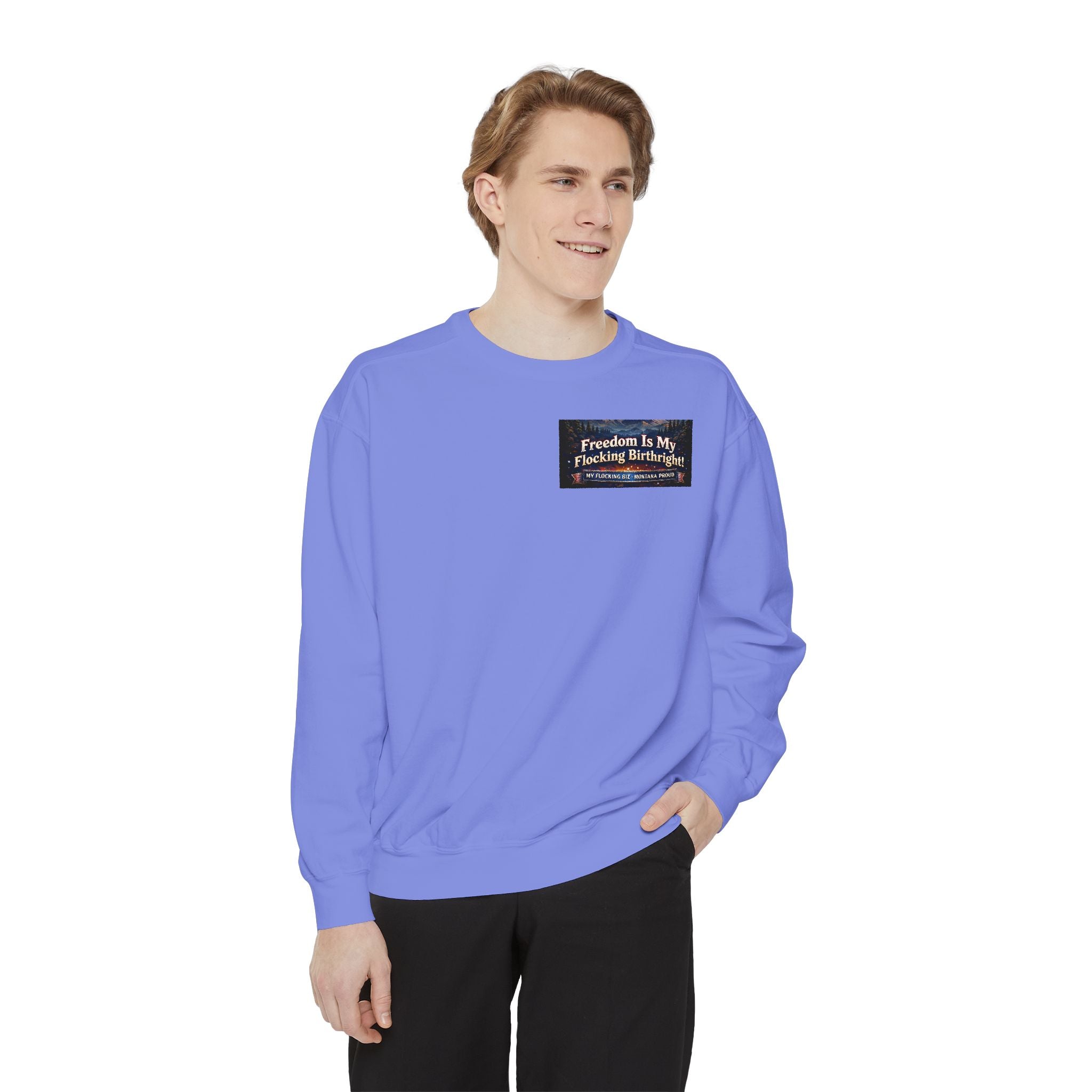 Freedom Is My Flocking Birthright Sweatshirt — Eagle & Fireworks Patriotic Crewneck