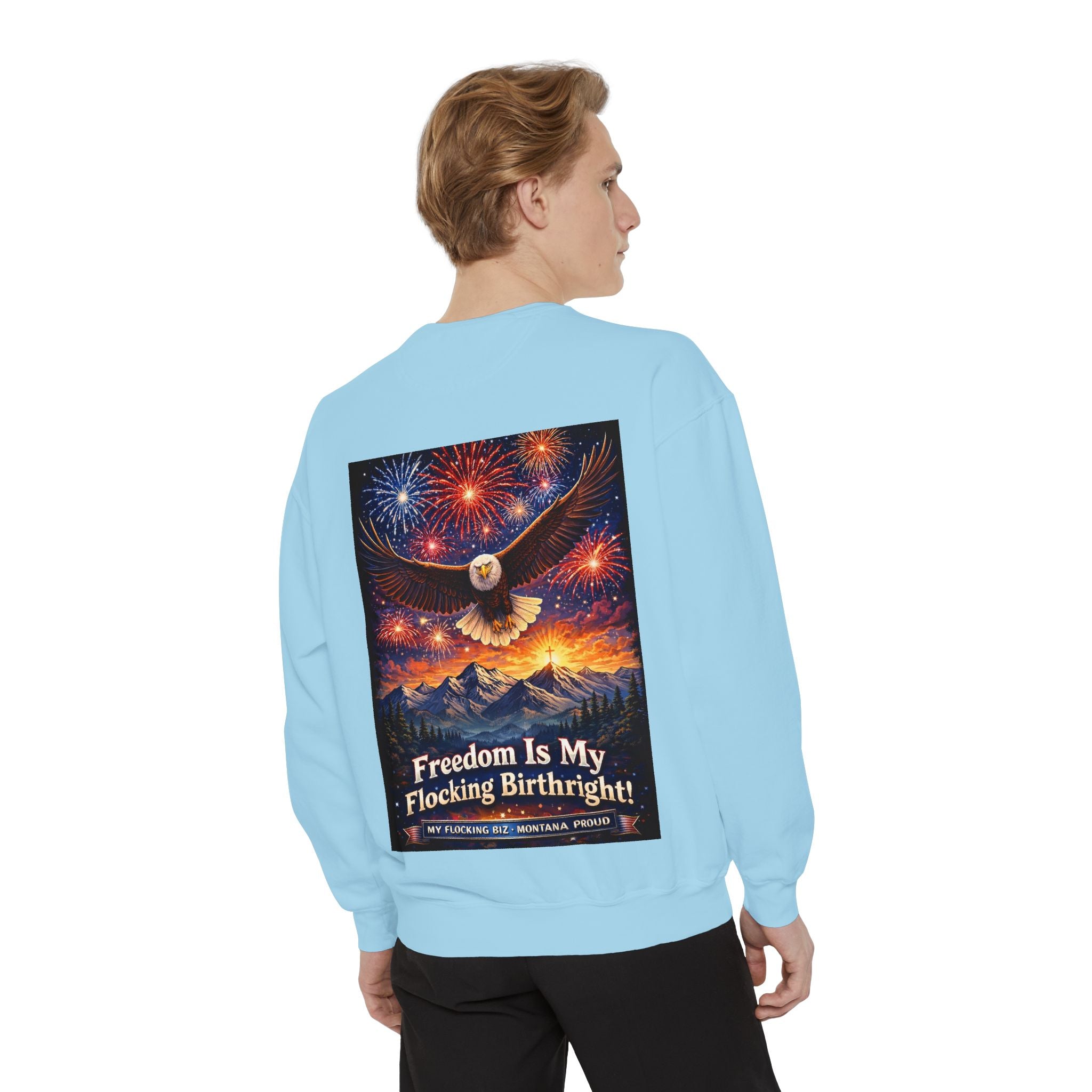Freedom Is My Flocking Birthright Sweatshirt — Eagle & Fireworks Patriotic Crewneck
