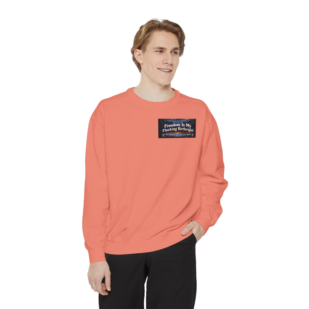 Freedom Is My Flocking Birthright Sweatshirt — Eagle & Fireworks Patriotic Crewneck