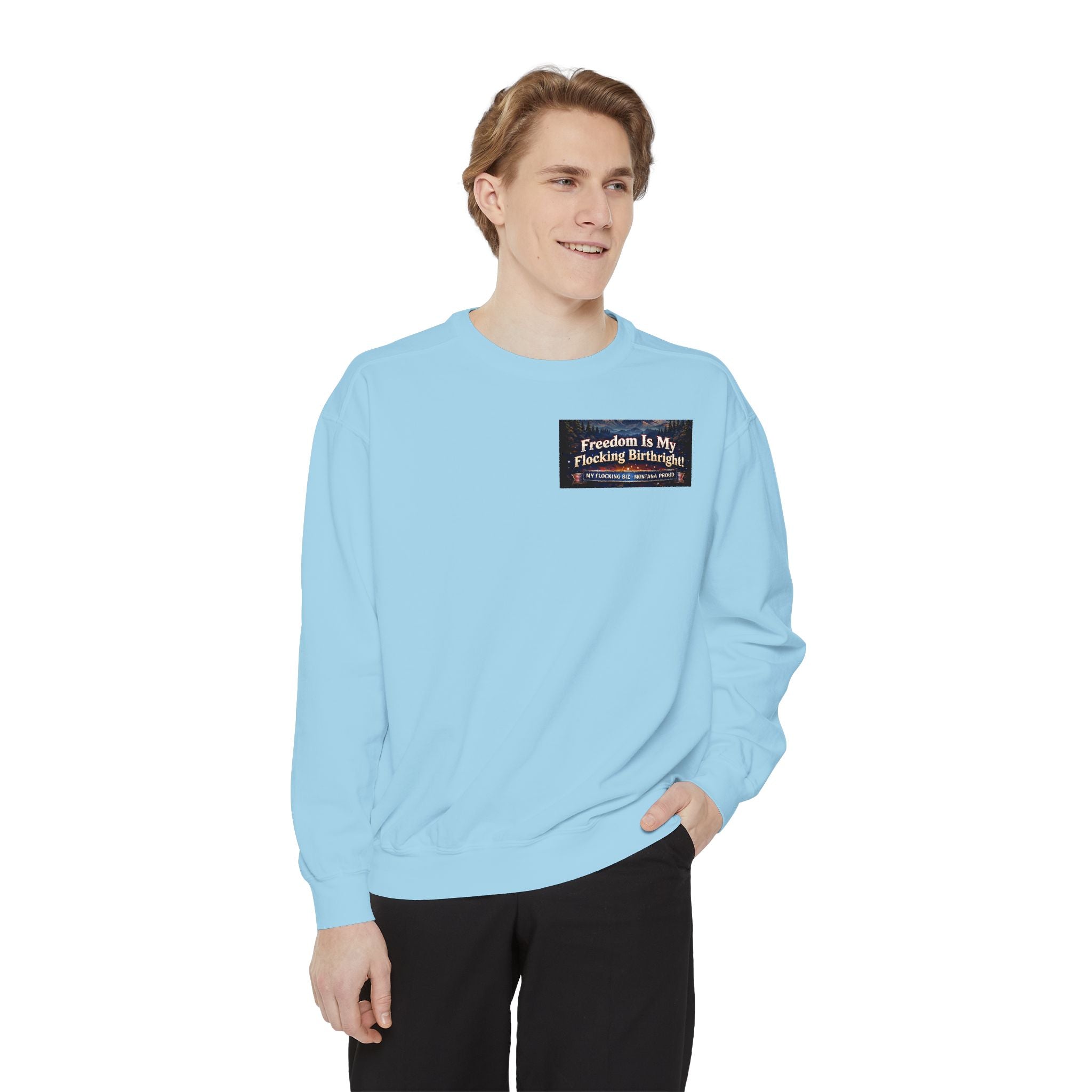 Freedom Is My Flocking Birthright Sweatshirt — Eagle & Fireworks Patriotic Crewneck